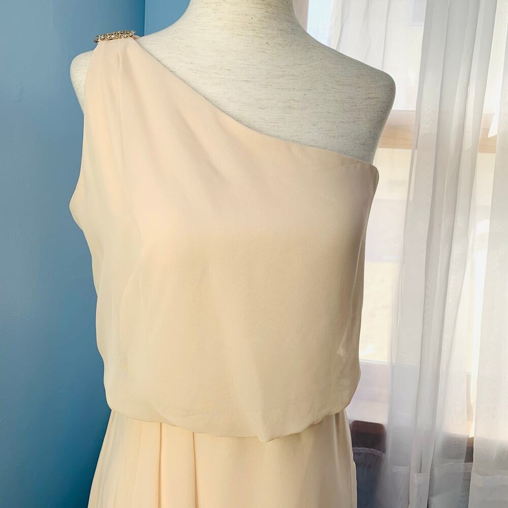 NWT Adrianna Papell Pink Blush One-Shoulder Chiffon Dress Size 4 - Picture 7 of 10